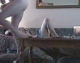 Ann's nuori bbc takaisin!