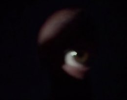 henkilökohtainen sihteeri