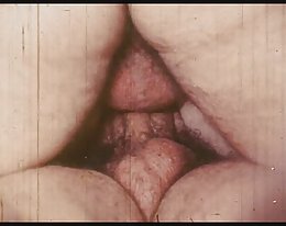 pallot ovat perseestä nyt alexis armon ballbusting femdom