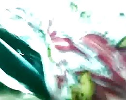 jännittävä kypsä nainen kiimassa (ginger lynn allen)