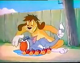 Carina Roman kaikki IR Anaali