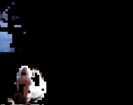 Bi teini poikasten Jaa kuuma kasvojen, kolmikko