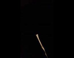 Melko ilo ensimmäistä kertaa perse-reikä