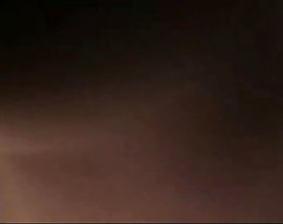 Kanerva hunter on idol