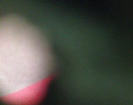Danielle martin - gabriel pontello &amp;amp; sandra nova