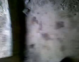 Tasha vallan blondi saa munaa hänen iso viritettynä sukulaista