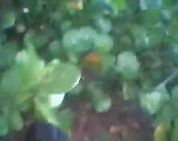 nuori poika vittuile kuuma iso breasted Jaakko