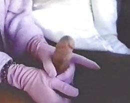 maaseudulla emäntä vittuile!