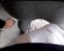 Christy canyon nai Peter North