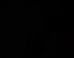 Rod 4 big karvaisia snatch