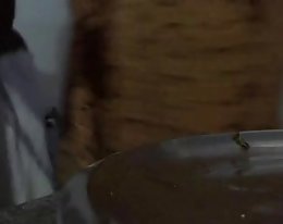 Julia - kaunis Japanilainen milf