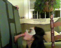 Häät (lesbo, Dildo)