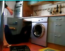 Saksan kypsä ja ystävät