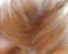 isin pikku tyttö... f70