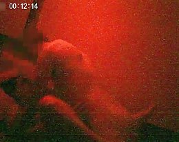 sekoitus mummi bukkake rim