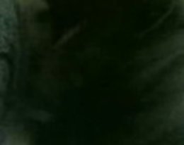 Chatroulette #82